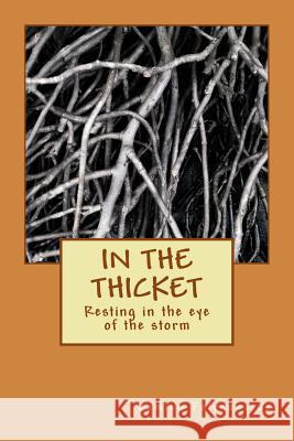 In the Thicket MR Damien Ishamel Fairconetue 9781497532588 Createspace - książka