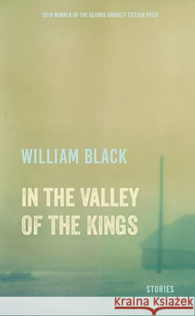 In the Valley of the Kings: Stories William Black 9781680032376 Texas Review Press - książka