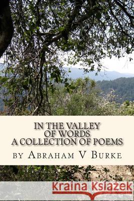 In The Valley Of Words Burke, Abraham Vincent 9781500126995 Createspace - książka