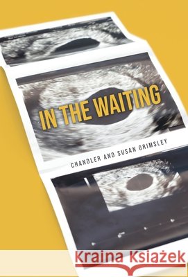 In The Waiting Grimsley, Susan, Grimsley, Chandler 9798385053049 WestBow Press - książka