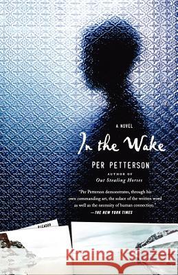 In the Wake Per Petterson Anne Born 9780312427047 Picador USA - książka