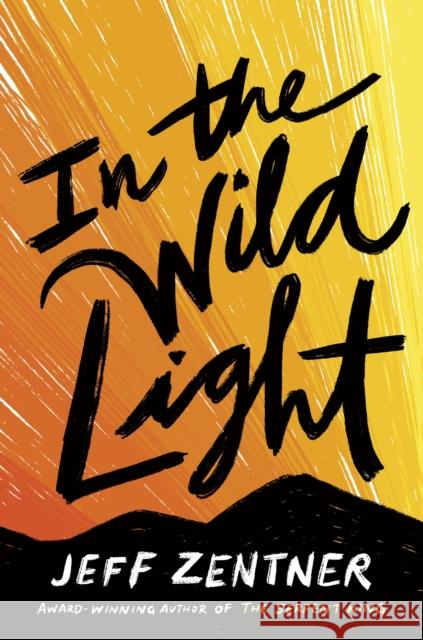 In the Wild Light Jeff Zentner 9781524720247 Crown Books for Young Readers - książka