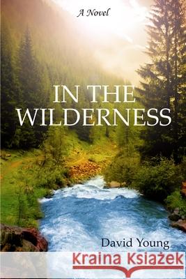 In the Wilderness David Young 9781481942881 Createspace - książka