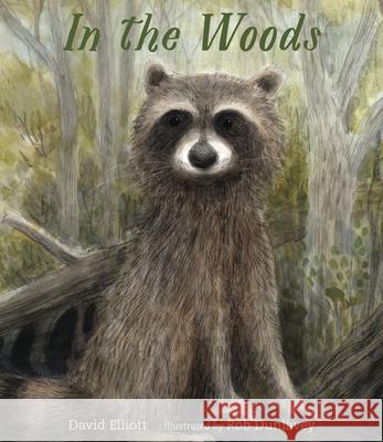 In the Woods David Elliott Rob Dunlavey 9780763697839 Candlewick Press (MA) - książka