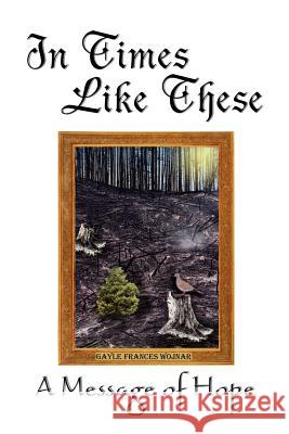 In Times Like These: A Message of Hope Wojnar, Gayle Frances 9781403316714 Authorhouse - książka