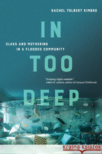 In Too Deep: Class and Mothering in a Flooded Community Rachel Kimbro 9780520377738 University of California Press - książka