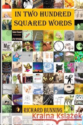 In Two Hundred Squared Words MR Richard Bunning MS Carol Shetler 9781539739722 Createspace Independent Publishing Platform - książka