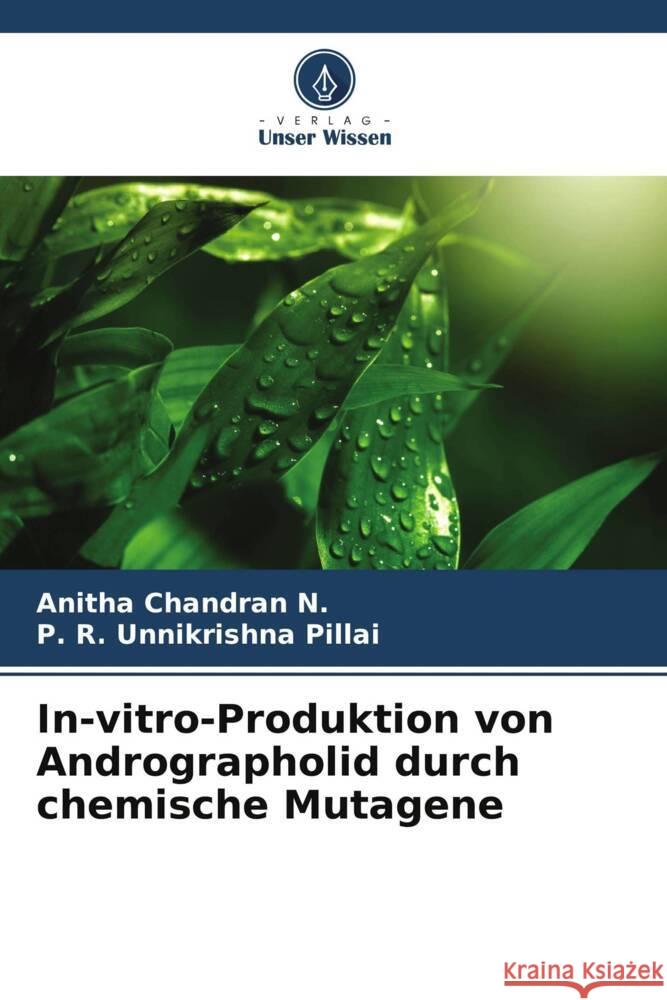 In-vitro-Produktion von Andrographolid durch chemische Mutagene Chandran N., Anitha, Pillai, P. R. Unnikrishna 9786205530283 Verlag Unser Wissen - książka