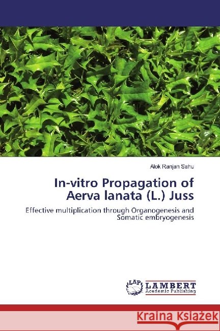 In-vitro Propagation of Aerva lanata (L.) Juss : Effective multiplication through Organogenesis and Somatic embryogenesis Sahu, Alok Ranjan 9783659711619 LAP Lambert Academic Publishing - książka