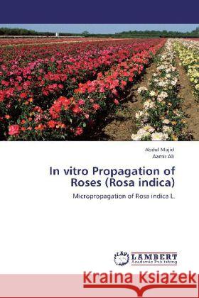 In vitro Propagation of Roses (Rosa indica) Dr Abdul Majid, Aamir Ali 9783848427888 LAP Lambert Academic Publishing - książka