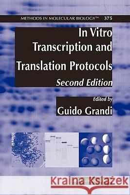 In Vitro Transcription and Translation Protocols Guido Grandi 9781617376412 Springer - książka