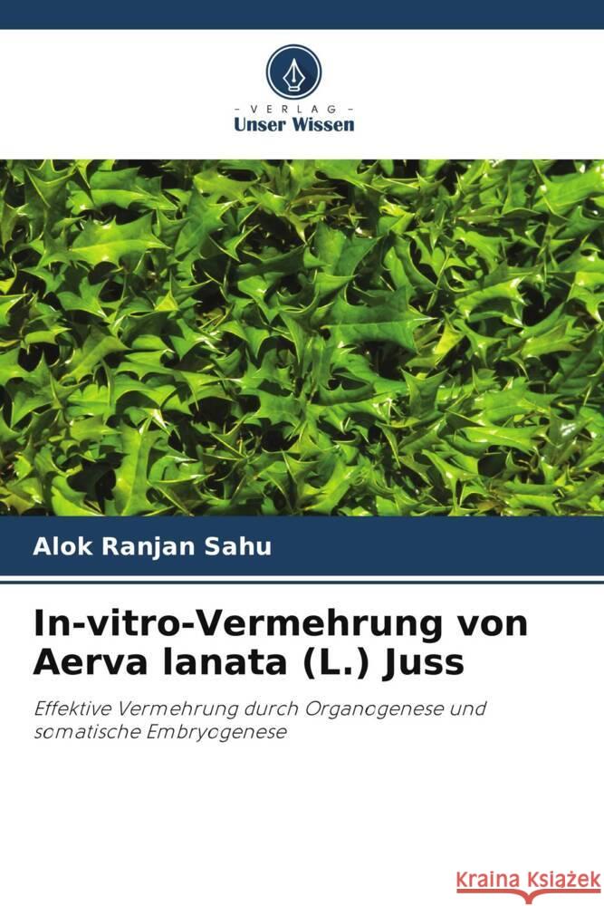 In-vitro-Vermehrung von Aerva lanata (L.) Juss Alok Ranjan Sahu 9786207046881 Verlag Unser Wissen - książka