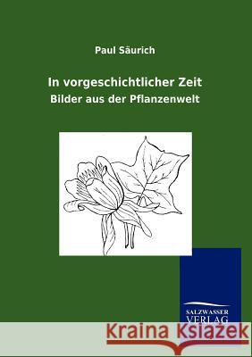 In vorgeschichtlicher Zeit Säurich, Paul 9783864449888 Salzwasser-Verlag Gmbh - książka