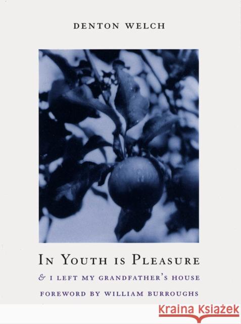 In Youth Is Pleasure: & I LEFT MY GRANDFATHER'S HOUSE Denton Welch 9781878972132  - książka