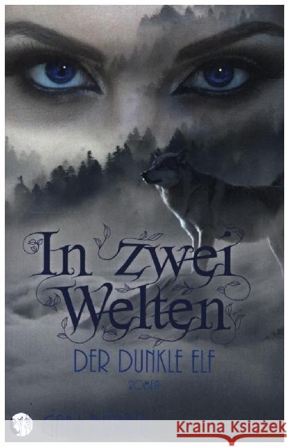 In zwei Welten - Der dunkle Elf Rüther, Gabi 9783347125803 tredition - książka