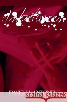 Inbetween David Antonelli 9798224392544 La Toyson d'Or Books - książka