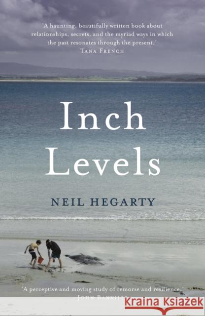 Inch Levels Hegarty, Neil 9781784975807  - książka