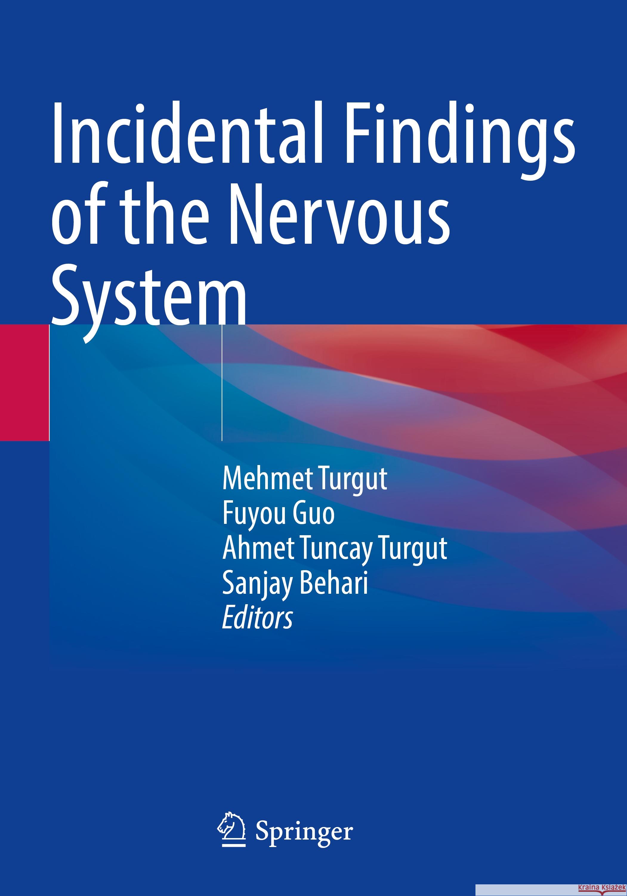 Incidental Findings of the Nervous System  9783031425974 Springer Nature Switzerland - książka