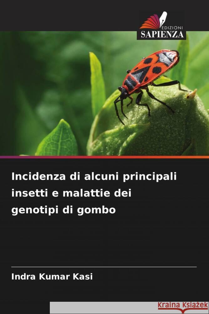 Incidenza di alcuni principali insetti e malattie dei genotipi di gombo Kasi, Indra Kumar 9786206509332 Edizioni Sapienza - książka