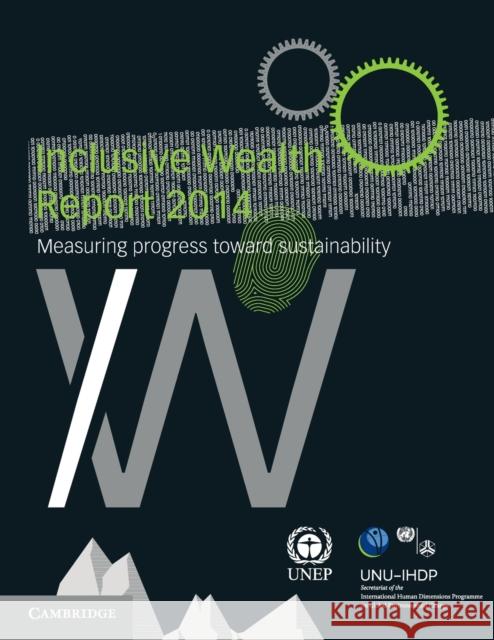 Inclusive Wealth Report 2014 United Nations University International 9781107524002 Cambridge University Press - książka