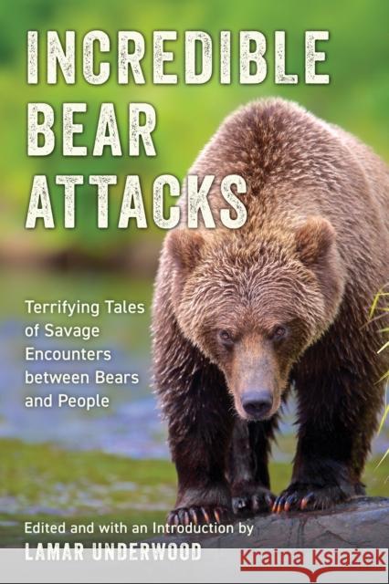 Incredible Bear Attacks: Terrifying Tales of Savage Encounters between Bears and People.  9781493085248 Lyons Press - książka