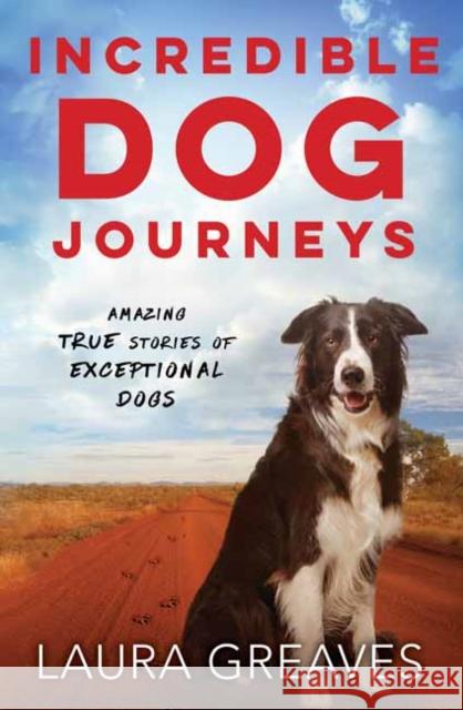 Incredible Dog Journeys: Amazing true stories of exceptional dogs Laura Greaves 9780143797258 Penguin Random House Australia - książka