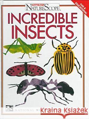 Incredible Insects  9780791048818 Chelsea House Publishers - książka