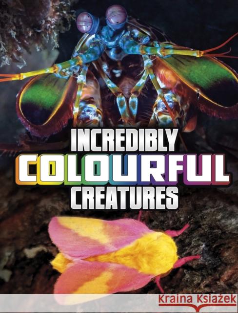 Incredibly Colourful Creatures Megan Cooley Peterson 9781398244870 Capstone Global Library Ltd - książka