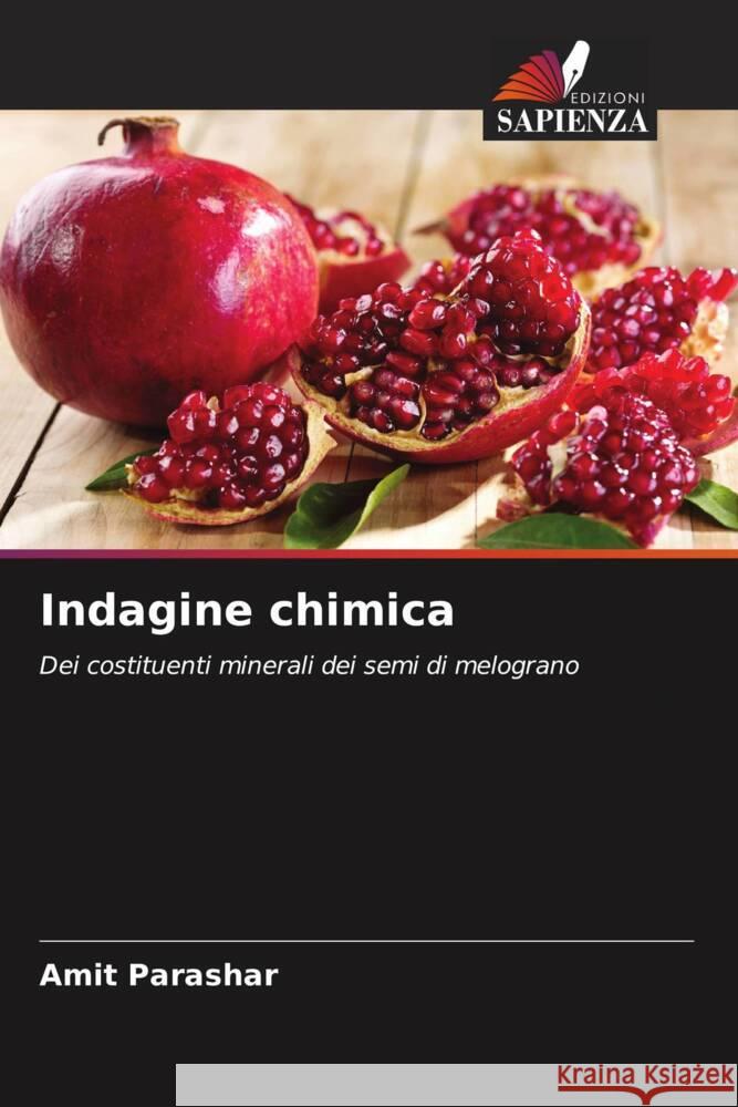 Indagine chimica Parashar, Amit 9786205068267 Edizioni Sapienza - książka