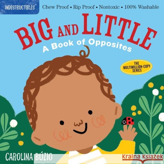 Indestructibles: Big and Little: A Book of Opposites: Chew Proof - Rip Proof - Nontoxic - 100% Washable (Book for Babies, Newborn Books, Safe to Chew) Búzio, Carolina 9781523511143 Workman Publishing - książka