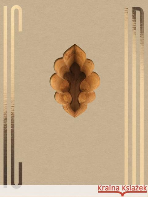 INDIA Ljubodrag Andric 9783960701330 Hartmann Books - książka