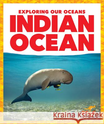 Indian Ocean Avery Toolen 9781636907741 Pogo Books - książka