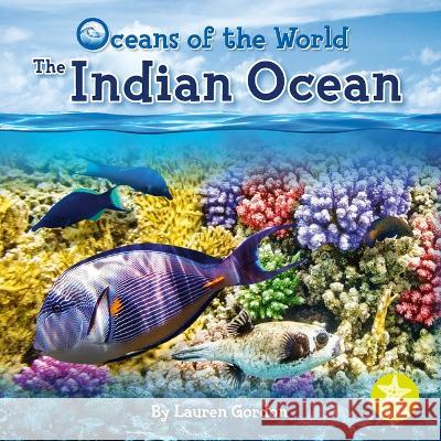 Indian Ocean Lauren Gordon 9781638975649 Starfish - książka