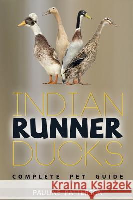 Indian Runner Ducks: The Complete Owners Guide Pauline Patterson 9780957697898 Roc Publishing - książka