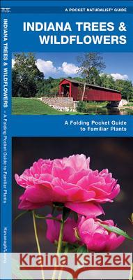Indiana Trees & Wildflowers: A Folding Pocket Guide to Familiar Plants Kavanagh, James 9781583554470 Waterford Press - książka
