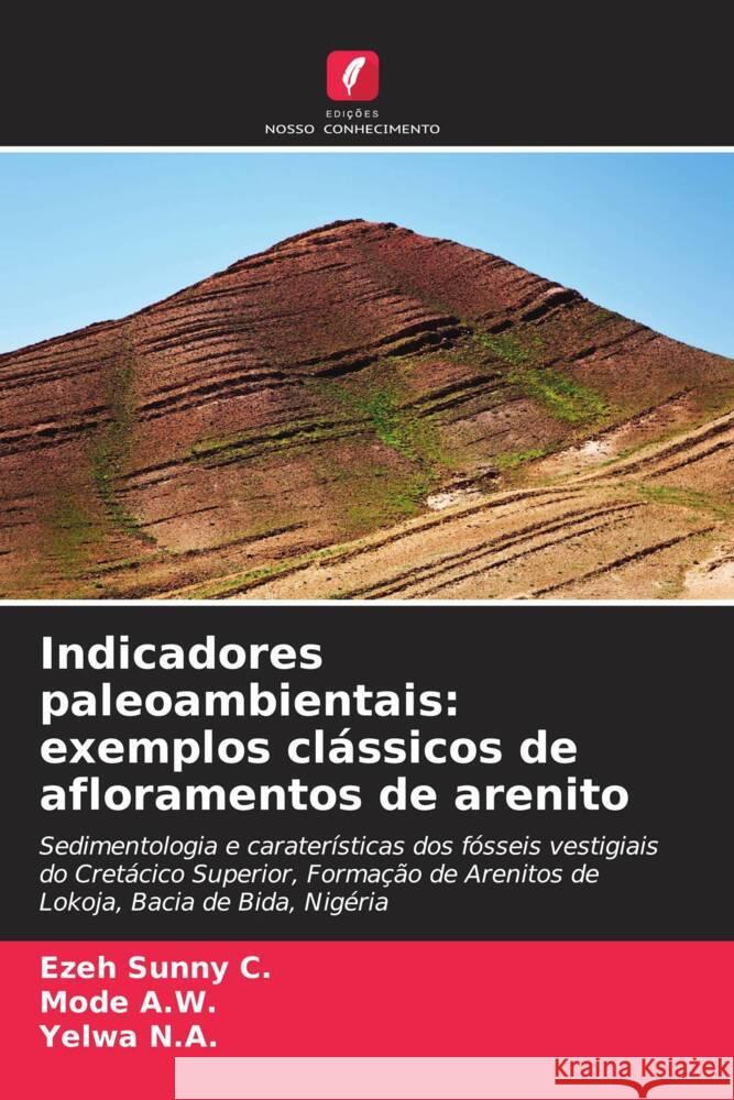 Indicadores paleoambientais: exemplos clássicos de afloramentos de arenito Sunny C., Ezeh, A.W., Mode, N.A., Yelwa 9786208248314 Edições Nosso Conhecimento - książka