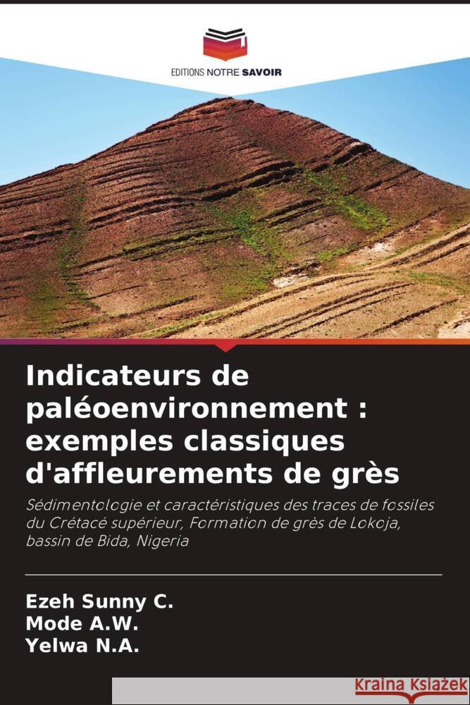 Indicateurs de paléoenvironnement : exemples classiques d'affleurements de grès Sunny C., Ezeh, A.W., Mode, N.A., Yelwa 9786208248291 Editions Notre Savoir - książka