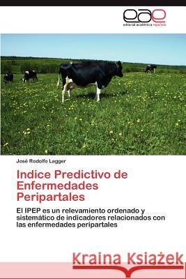 Indice Predictivo de Enfermedades Peripartales Jos Rodolfo Lagger 9783659034862 Editorial Acad Mica Espa Ola - książka