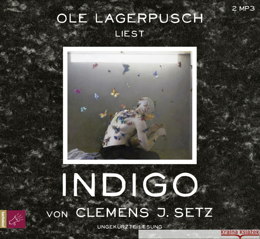 Indigo, 2 Audio-CD, MP3 Setz, Clemens J. 9783864847462 tacheles!/ROOF Music - książka