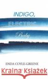 Indigo, Electric, Baby Enda Coyle-Greene 9781910251706 Dedalus Press