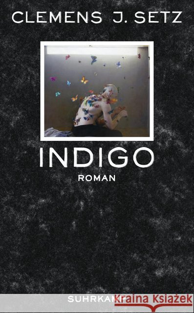 Indigo : Roman Setz, Clemens J. 9783518464779 Suhrkamp - książka
