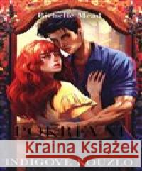 Indigové kouzlo Richelle Mead 9788027609215 #booklab - książka