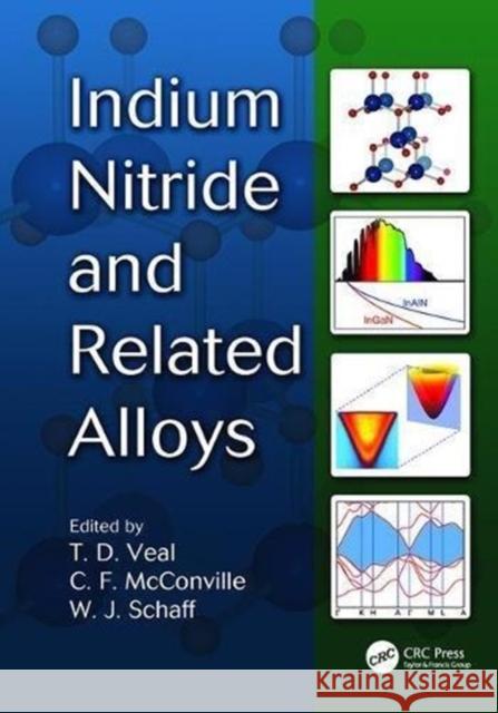 Indium Nitride and Related Alloys Timothy David Veal (University of Warwic Christopher F. McConville (Dept. of Phys William J. Schaff (Cornell University, 9781138116726 CRC Press - książka
