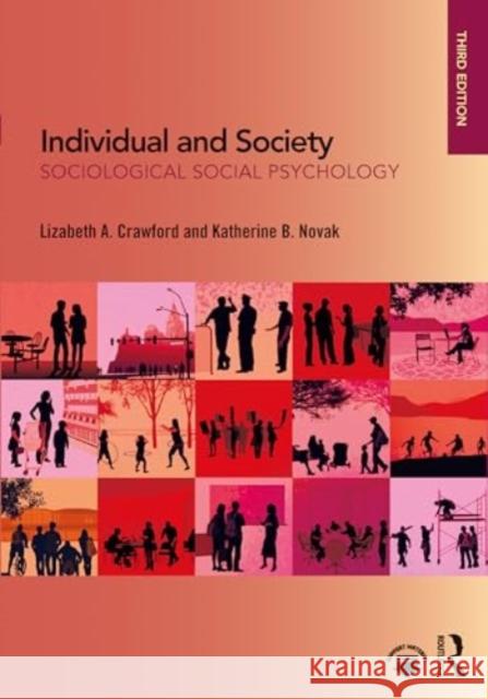 Individual and Society Katherine B. Novak 9781032293677 Taylor & Francis Ltd - książka