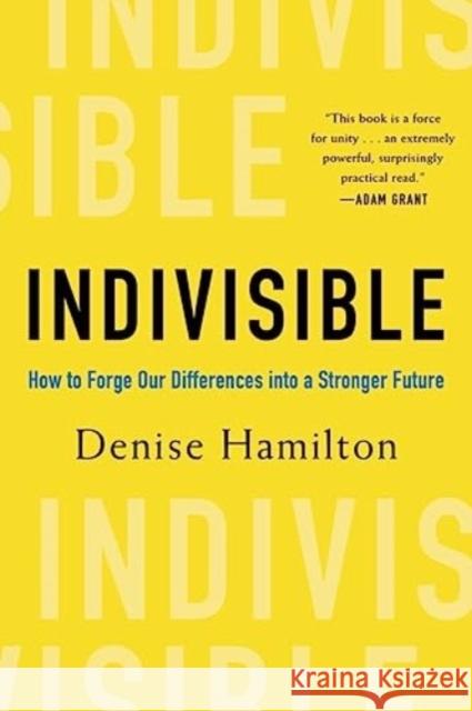 Indivisible - How to Forge Our Differences into a Stronger Future  9781682688380  - książka