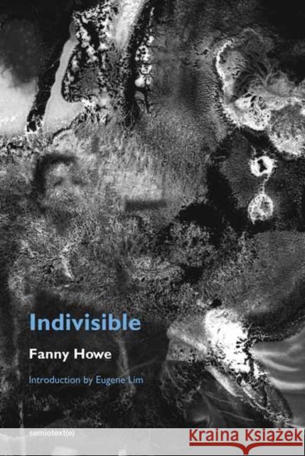 Indivisible, New Edition Howe, Fanny 9781635901559 Semiotext(e) - książka