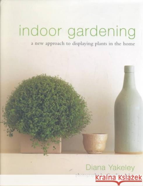 Indoor Gardening: A New Approach to Displaying Plants in the Home Diana Yakeley 9781903141113 Aquamarine - książka