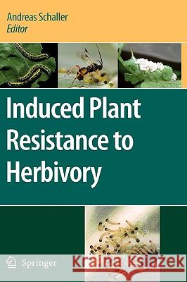 Induced Plant Resistance to Herbivory Andreas Schaller 9781402081811 Not Avail - książka