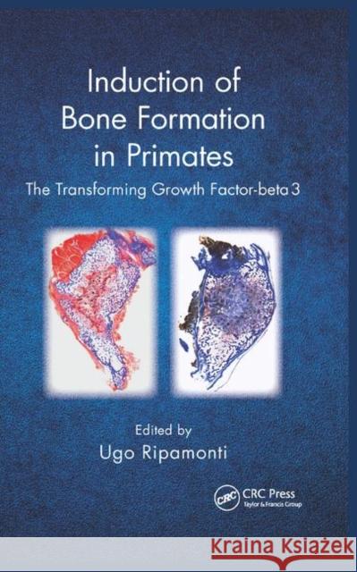Induction of Bone Formation in Primates: The Transforming Growth Factor-Beta 3 Ugo Ripamonti 9780367377403 CRC Press - książka