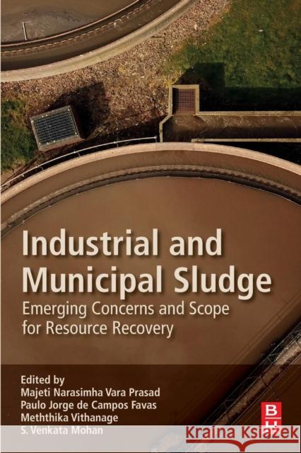 Industrial and Municipal Sludge: Emerging Concerns and Scope for Resource Recovery Majeti Narasimha Var Paulo Jorge d Meththika Vithanage 9780128159071 Butterworth-Heinemann - książka